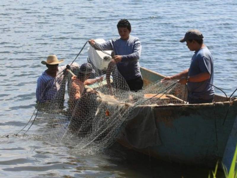 La pesca en los dos litorales, tanto artesanal como industrial, dejan a la región ingresos por 2,500 millones de dólares anuales.