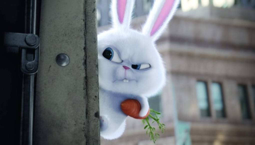 Descubre qué piensan las mascotas