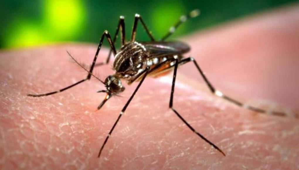 El zika puede afectar a los niños de por vida