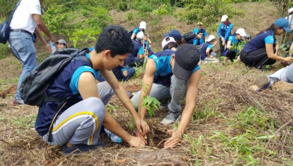 Honduras restaurará 270,000 hectáreas de bosque con fondo verde del clima