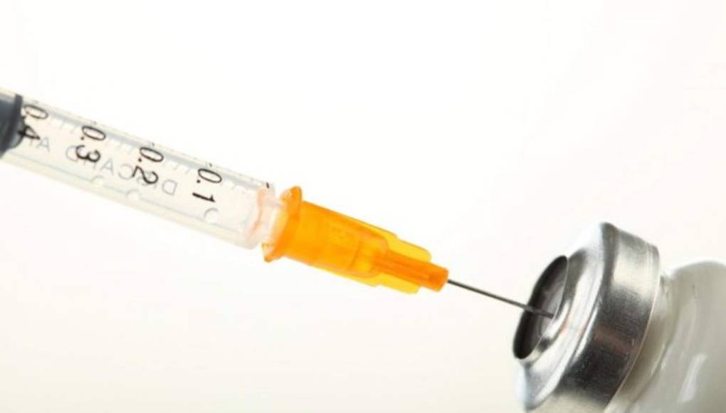 Tres vacunas contra el Zika resultan efectivas en monos