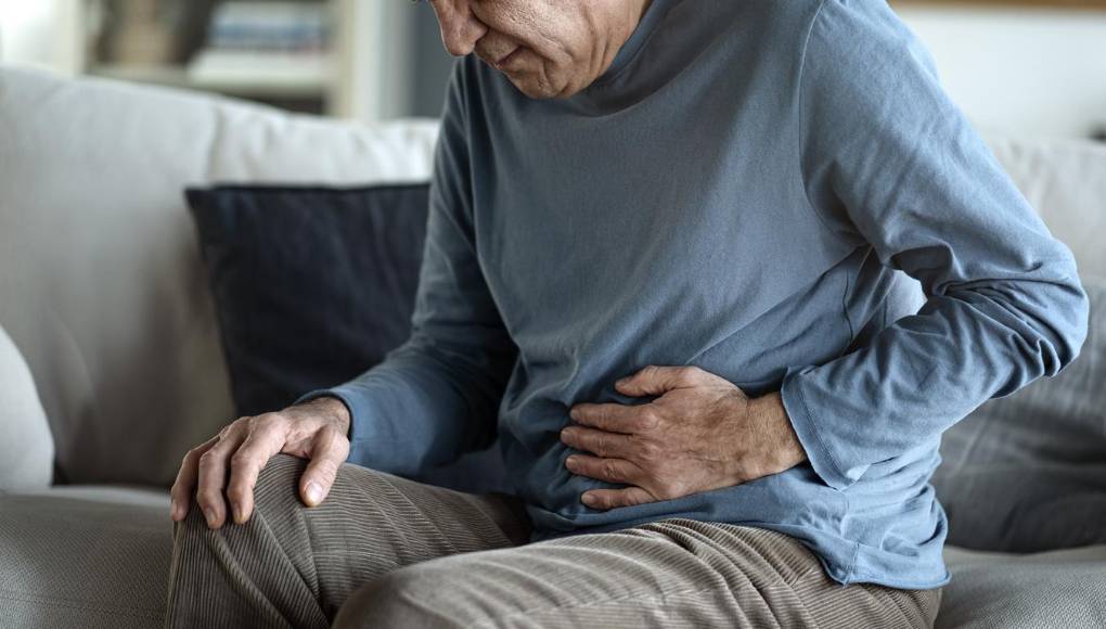 Indagan Alzheimer desde el intestino