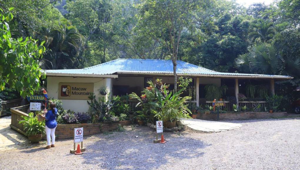 <b>El parque de aves Macaw Mountain se localiza dos kilómetros al norte del Parque Central. Es un proyecto de ecoturismo multifacético asentado en diez acres de bosque en un valle atravesado por un arroyo, a solo 10 minutos en vehículo del parque central de Copán Ruinas, Honduras.</b>