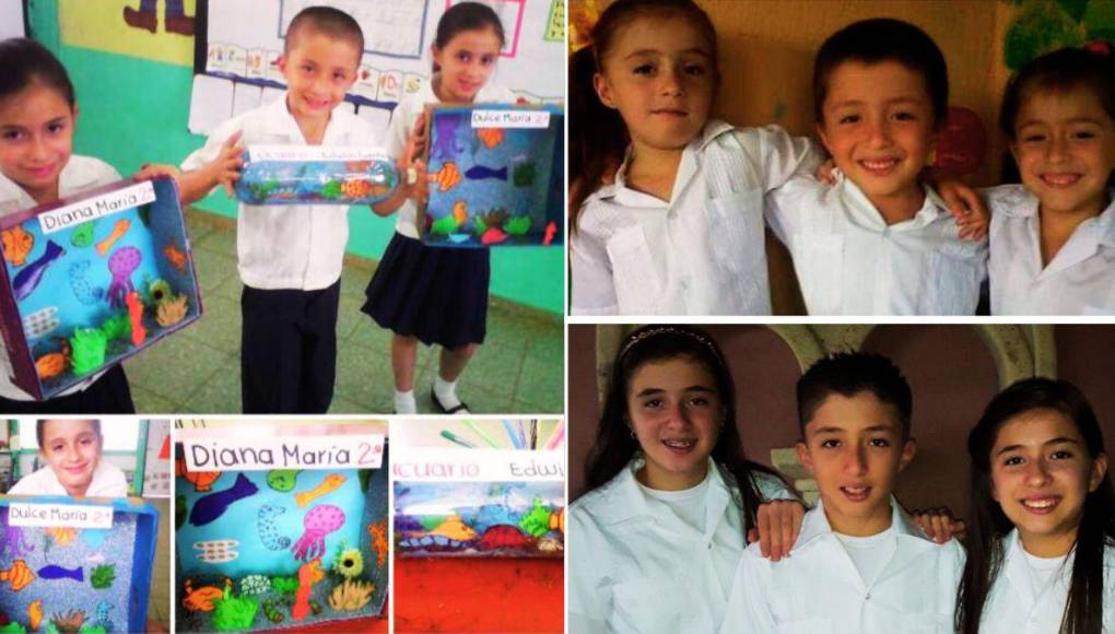 <b>También catalogan como crucial que sus padres hayan estado pendientes de sus estudios y con el cumplimiento de sus deberes, aunque muchos de sus logros se debieron a su propia iniciativa y responsabilidad para reforzar los recursos que los maestros les mandaban. </b>