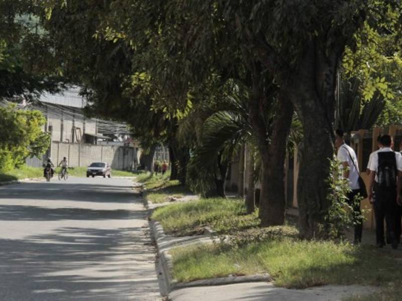 En las colonias El Periodista y Miguel Ángel Pavón asaltan estudiantes a diario. Foto: Cristina Santos