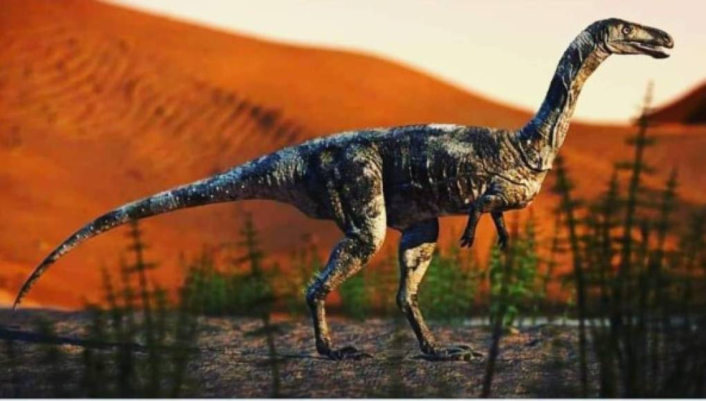Descubren nueva especie de dinosaurio carnívoro