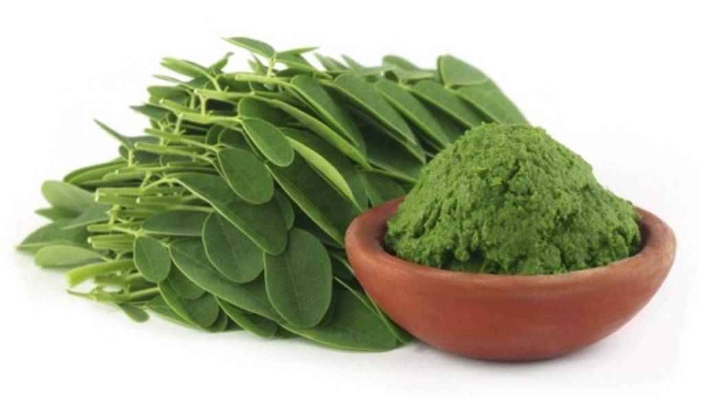 La moringa, soya y trigo, aliados para una buena salud