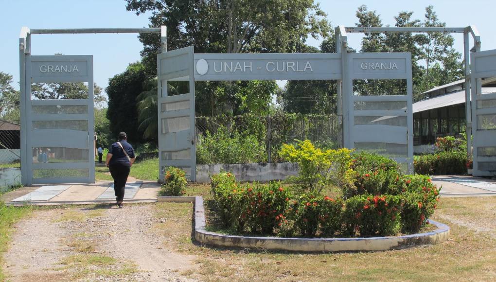 ”El Curla es como un municipio dentro de La Ceiba”, resume Eloisa Eyes, enlace del Curla con los medios de comunicación, en referencia al potencial e importancia de este campus para la zona del litoral.