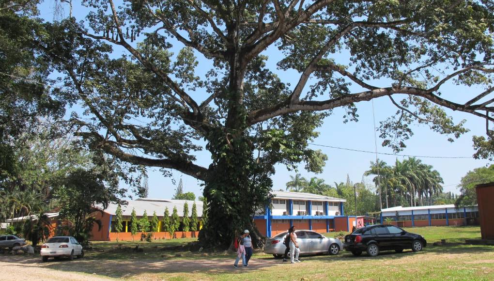 El ambiente de Curla está familiarizado con sus carreras forestales, agrícolas y agronómicas. Sos centenares de estudiantes que llegan desde diversas partes del país.