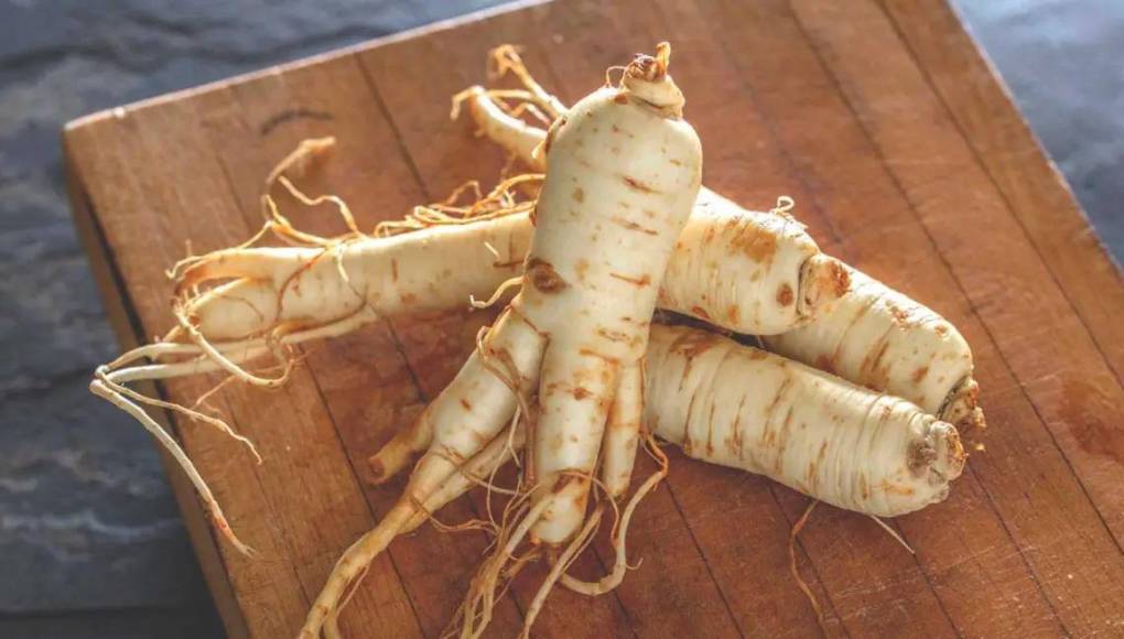 La ingesta de ginseng reduce la fatiga muscular tras el ejercicio