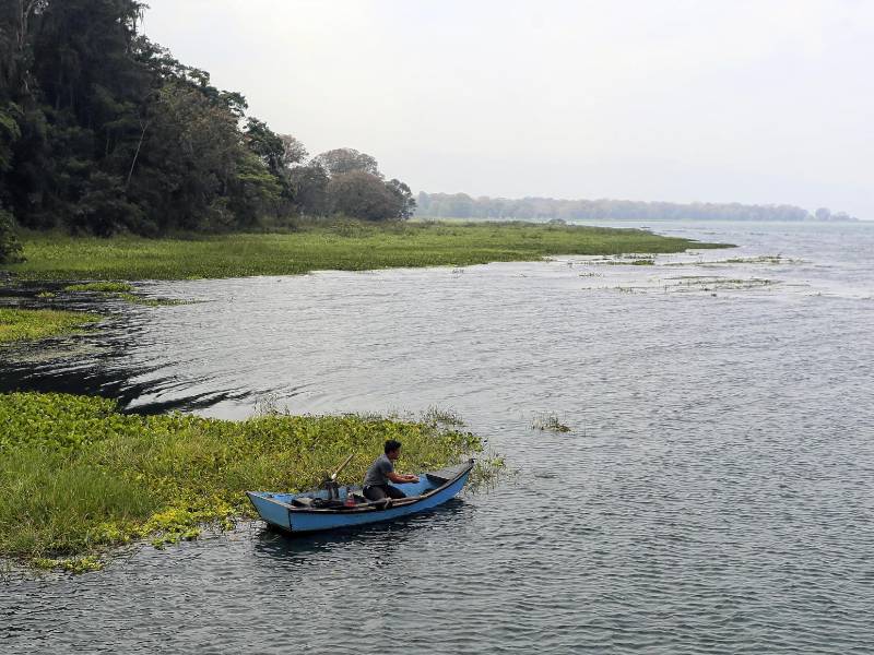 El Lago de Yojoa, la mayor reserva de agua dulce de Honduras y una de las más importantes de Centroamérica, sufre impactos negativos por el cambio climático, sobreexplotación acuícola, minería, malas prácticas agrícolas y desechos sólidos.