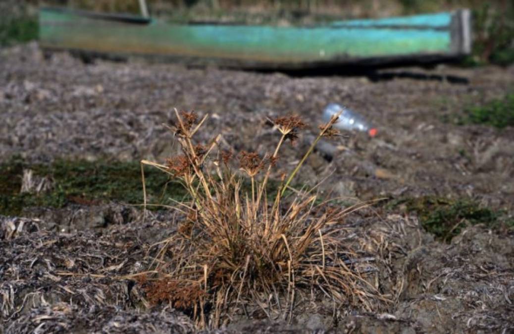 Un bote de madera que se utilizó para la pesca permanece varado en la laguna seca de Jucutuma. AFP