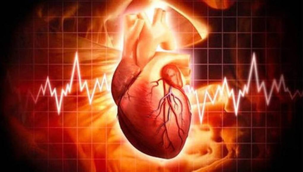 El modelaje 3D en computadora podría mejorar los trasplantes de corazón de los niños