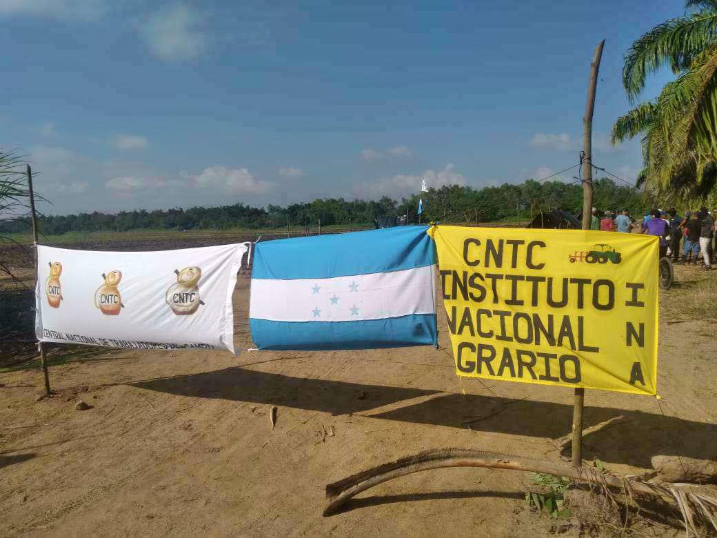 Dirigentes de la Central Nacional de Trabajadores del Campo (CNTC) confirmaron que ellos “recuperaron” tierras que son propiedad del Estado y dijeron que no son responsables de las invasiones ejecutadas por otras personas en El Progreso.
