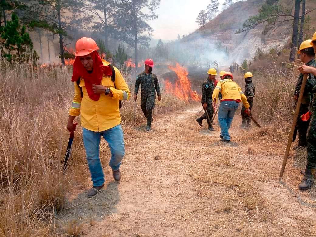 Al menos 1,713 incendios han consumido 83,604 hectáreas