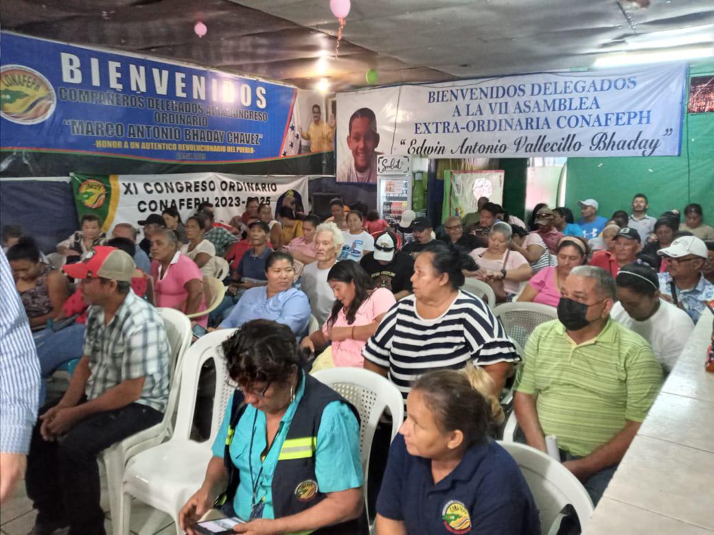 Ni el 20% de patronatos de SPS están reconocidos ante gobierno