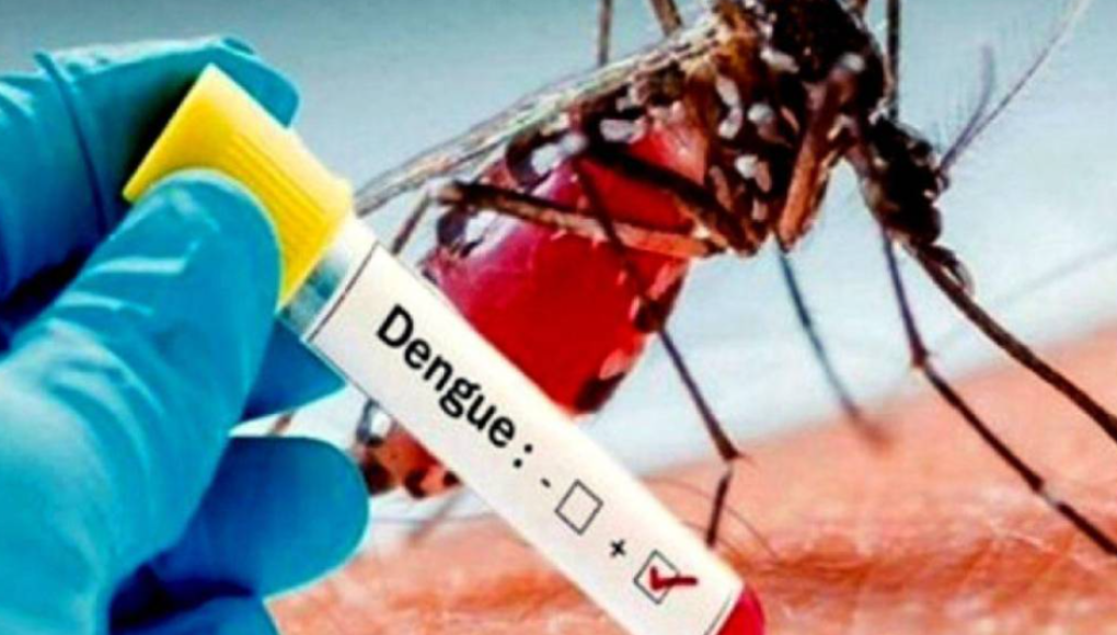 Casos de dengue se disparan en 98% del 7 al 15 de noviembre