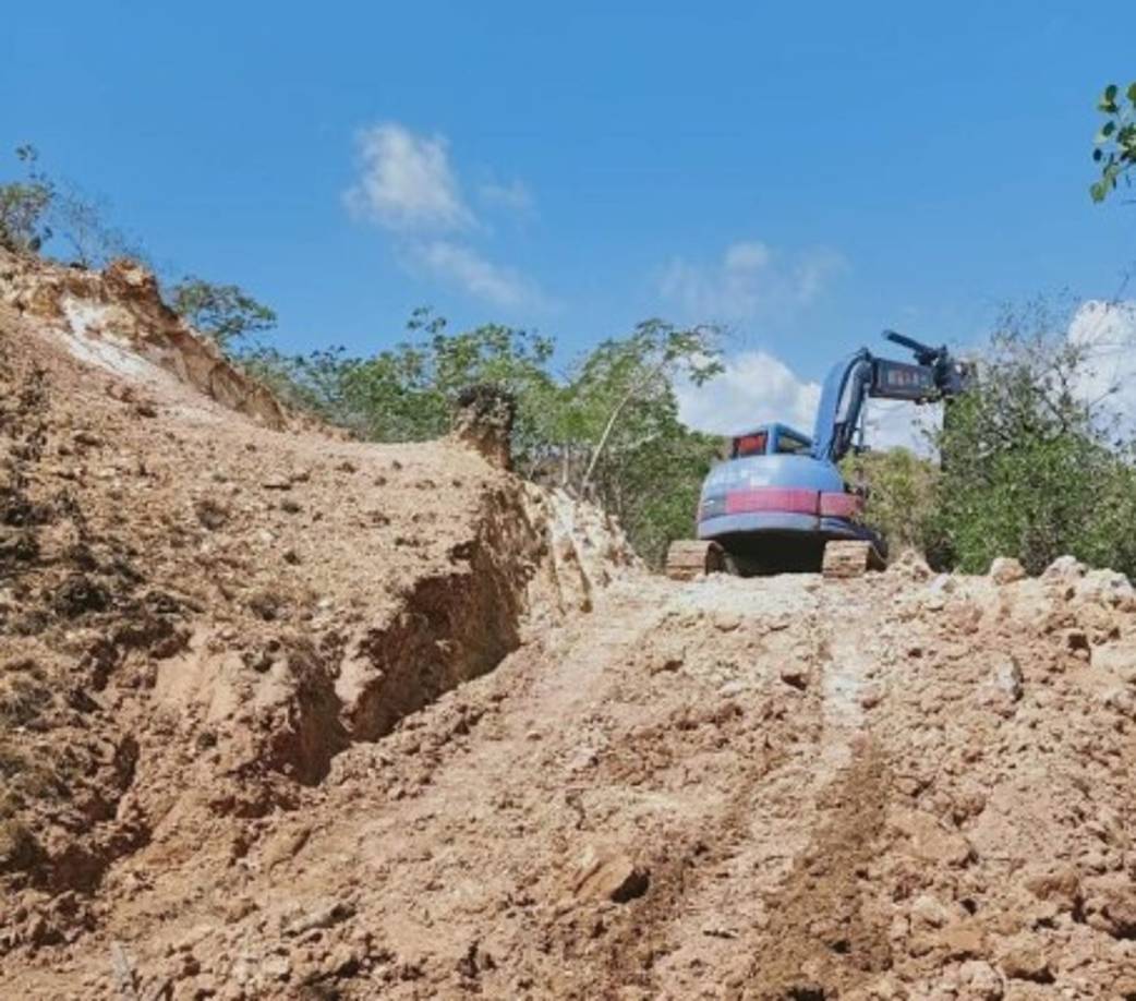 El proyecto se abrió en 2020, cuando la administración del mandatario Joko Widodo anunció la creación del sitio turístico 'Premium' en el parque nacional. La isla aún tiene presencia humana, pero está destinada a la conservación de la especie. No está abierta, actualmente, al turismo.