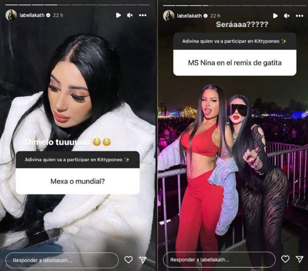 No obstante, no es la única que se especula ya que entre ellos también se encuentran Dani Flowmx, Ms Nina, Mexa, entre otros.