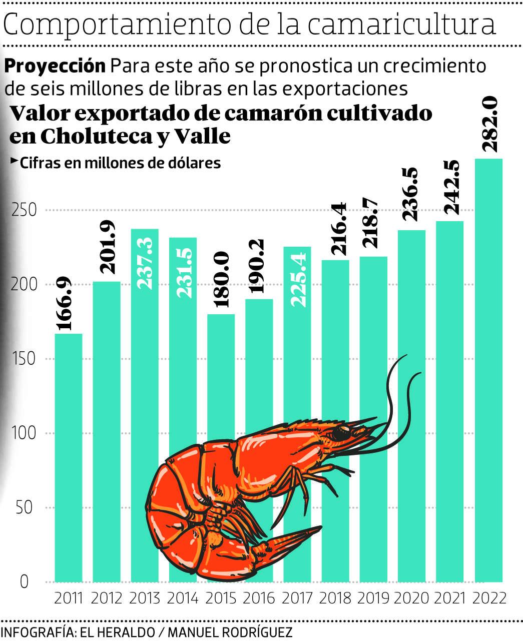México cierra su mercado al camarón hondureño