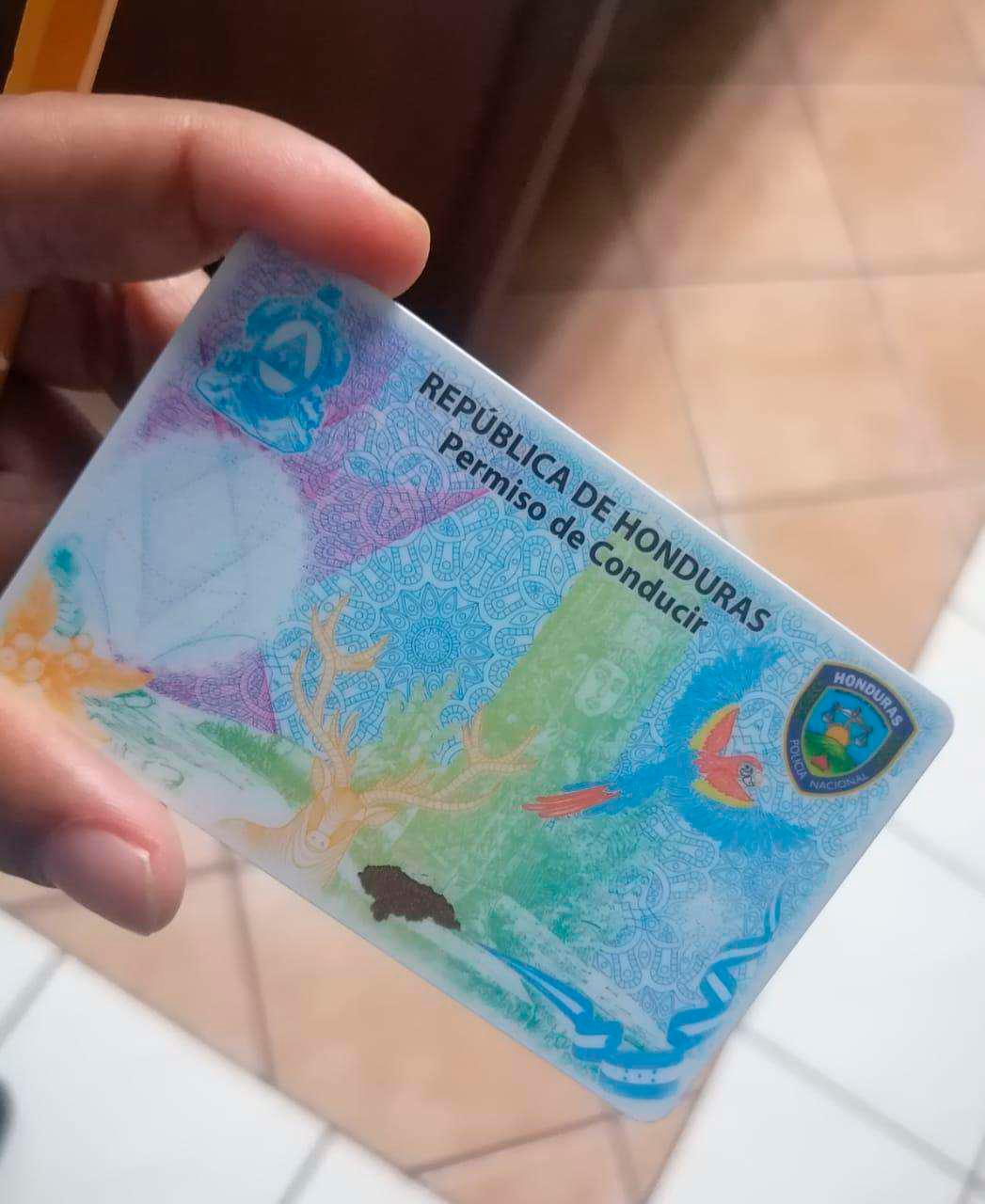 Con nueva licencia se podrá circular por 90 días en otros países