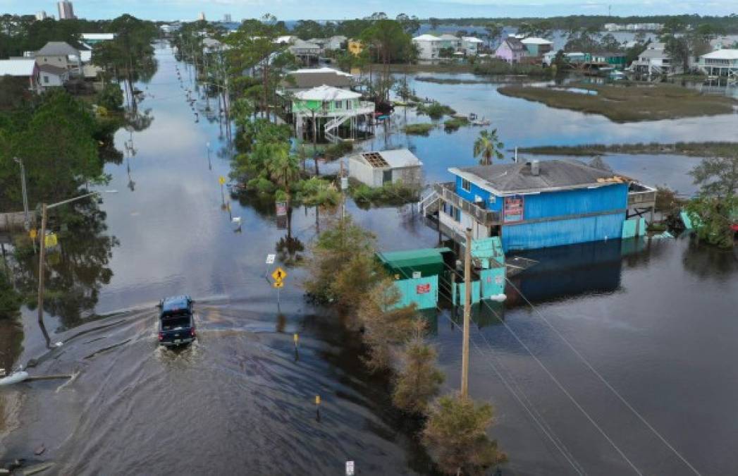Cocodrilos en las calles dejan las inundaciones por el huracán Sally