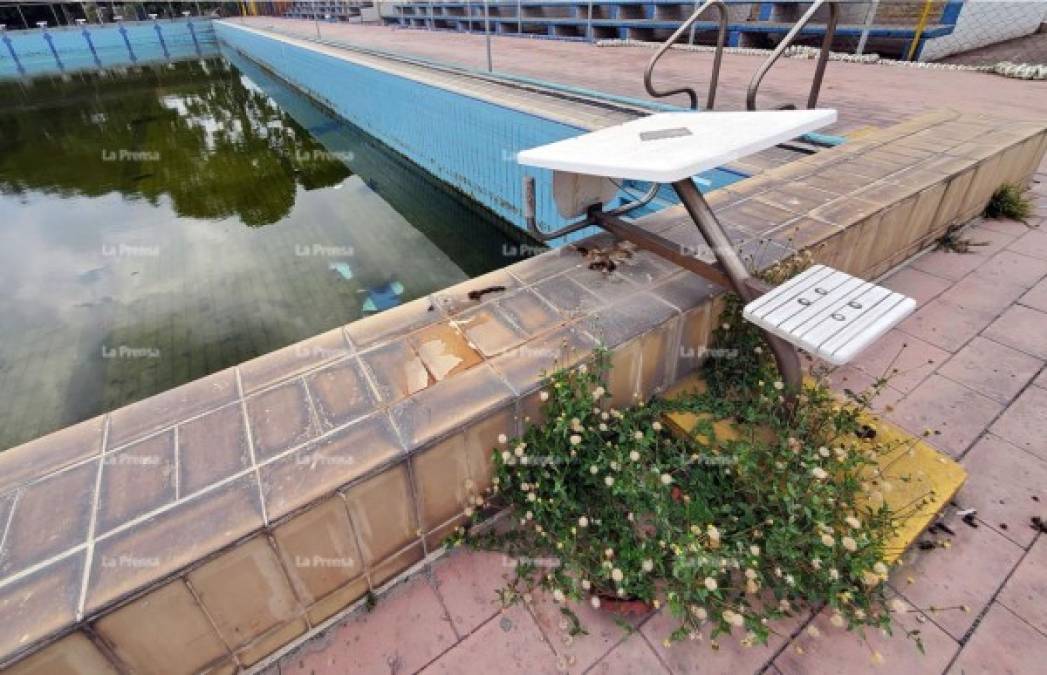 Varios padres de familia que tienen matriculados a sus hijos en el equipo de natación Delfines de la Municipalidad de San Pedro Sula lamentan el estado en el que está la piscina.