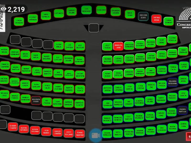 Vista general de la votación en el Congreso Nacional.