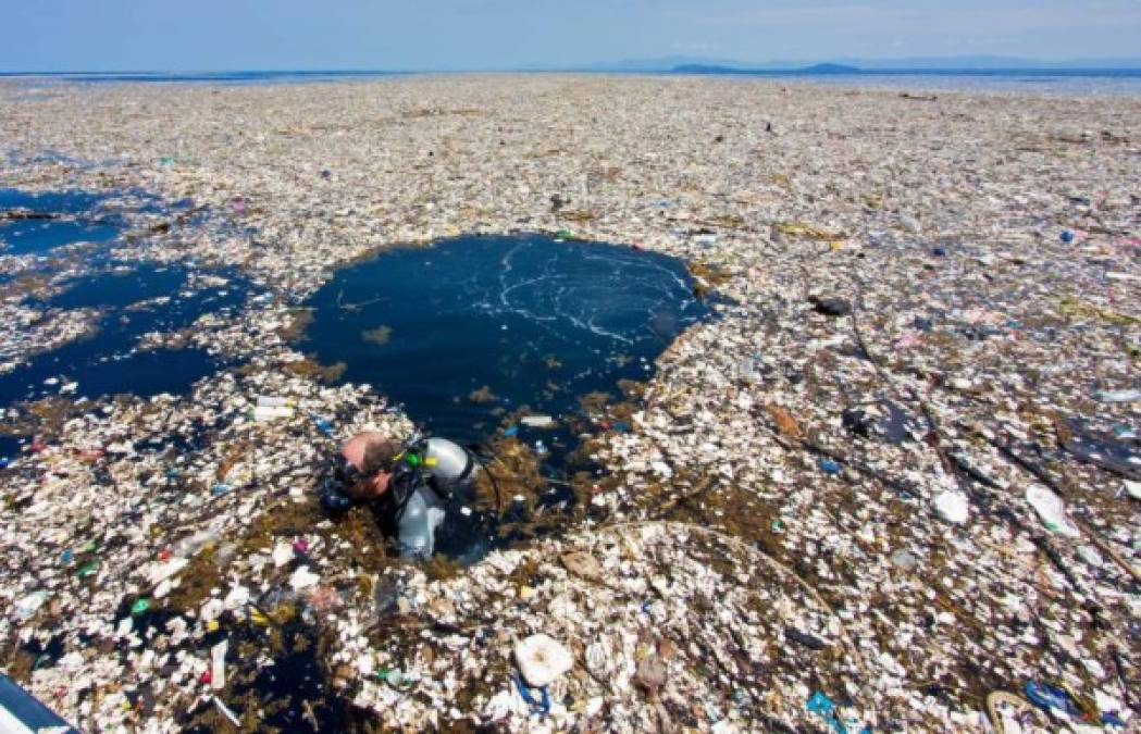 En 2017, la basura de Guatemala llegó a las paradisíacas islas de la Bahía. 5 kilómetros de desechos pusieron en alerta a las autoridades hondureñas por ser ese lugar, la casa del segundo arrecife coralino más grande del mundo