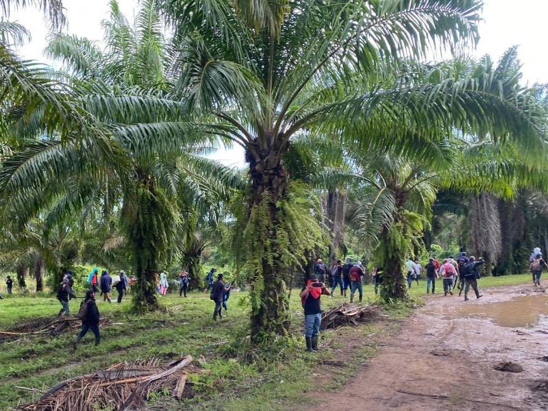 El conflicto agrario en el departamento de Colón sigue sin resolverse, el gobierno anterior fracasó en la lucha y el actual busca alternativas para poner fin a las invasiones.