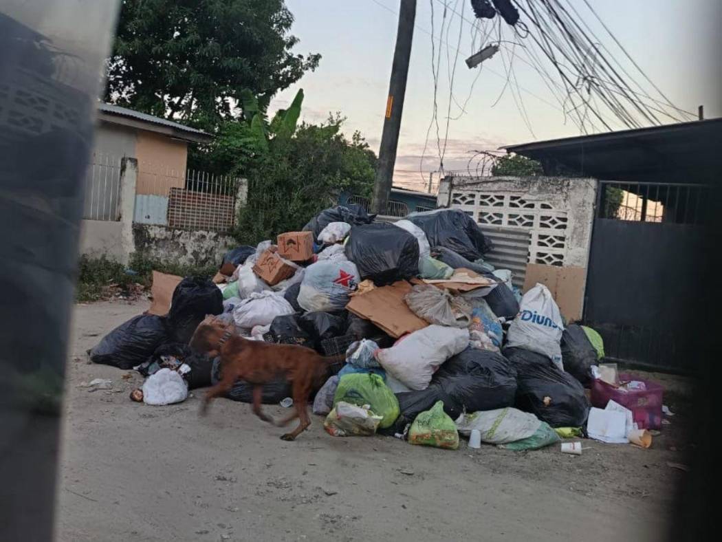 Vecinos de Las Brisas denuncian basura y falta de alumbrado