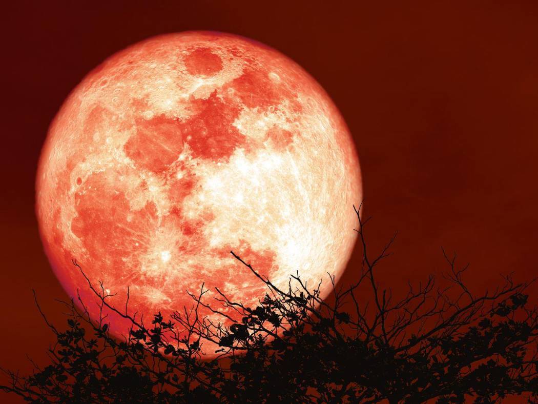 Luna de sangre en marzo: el eclipse rojo que revive teorías del apocalipsis