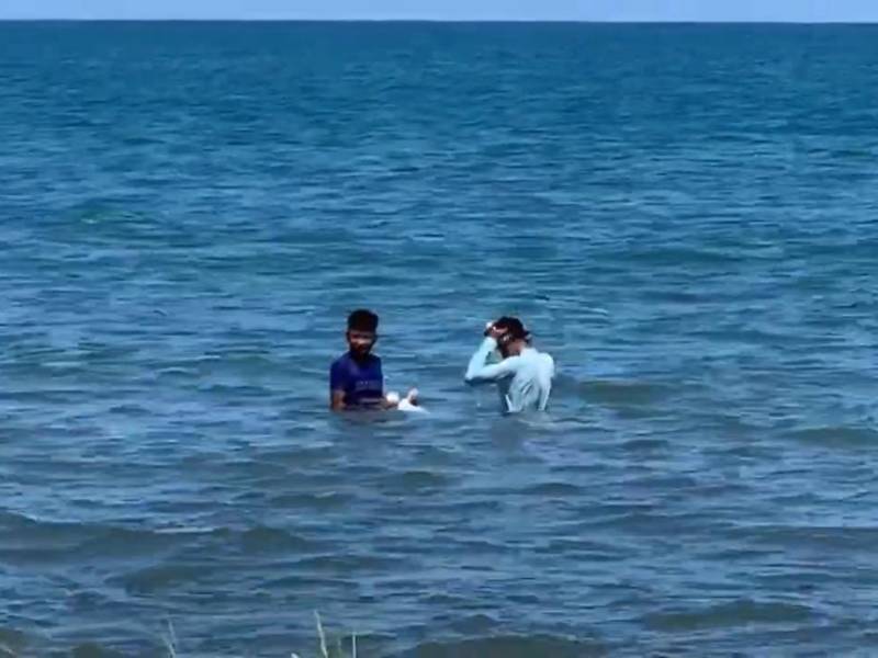 La recolección de algas marinas se ha convertido en una labor escencial para un grupo se jóvenes que buscan la manera de ganarse la vida y llevar el sustento a sus hogares.