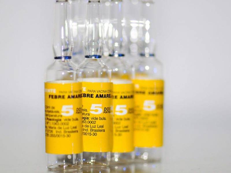 Los síntomas más frecuentes son fiebre, dolores musculares, sobre todo de espalda, cefaleas, pérdida de apetito y náuseas o vómitos.