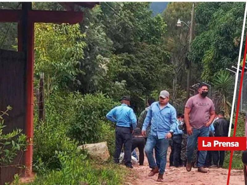 Un hombre murió, supuestamente, luego del ataque de varios perros.