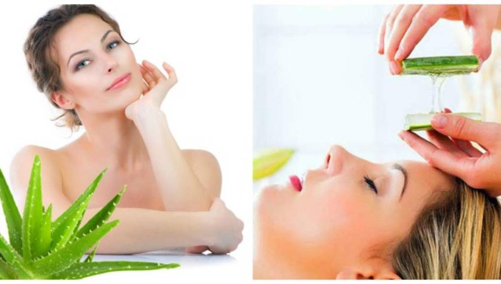 Aloe Vera para la belleza