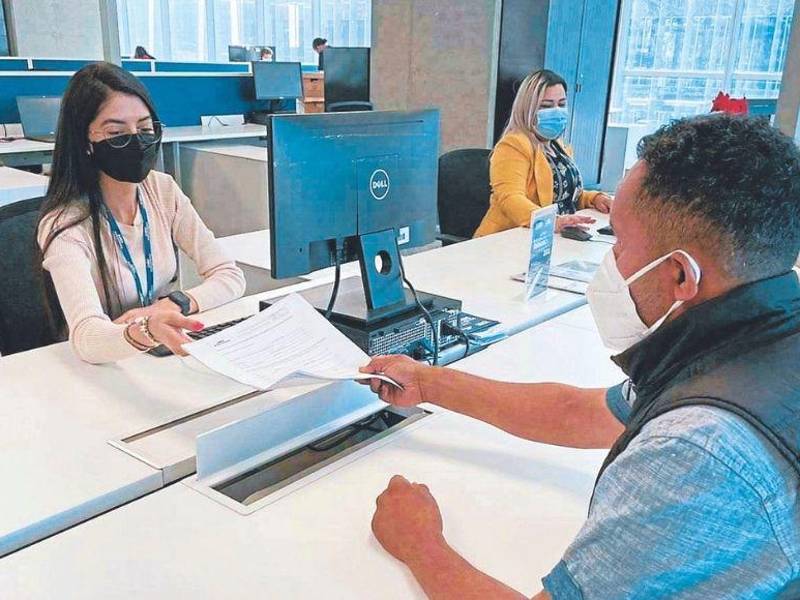 La fuerza laboral está dividida: 57.4% son hombres y 42.6% son mujeres.