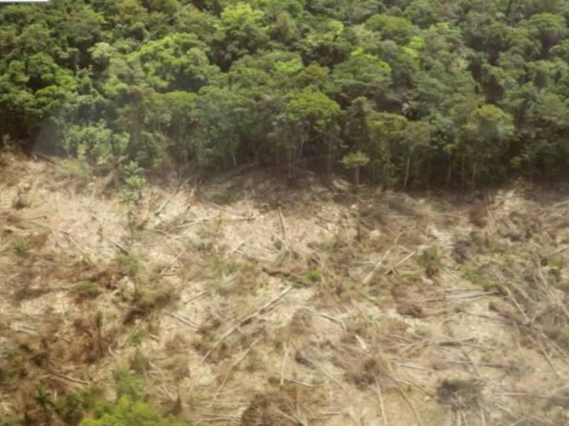 En 2023 fueron asesinados 24 defensores del ambiente, la mayoría de ellos de la comunidad de Guapinol, en Colón.