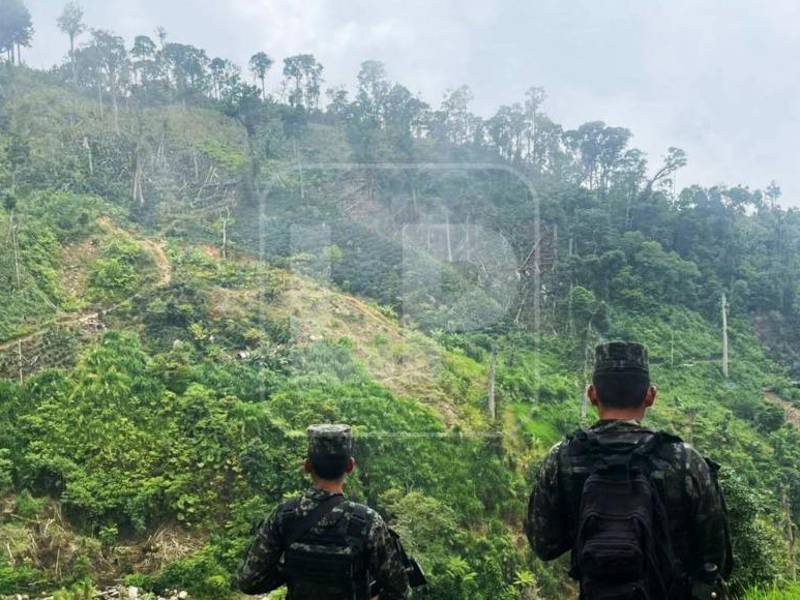 Peligra el agua para más de un millón de habitantes debido al ensañamiento que hay con la montaña, comparada por su valor ecológico y humano con la biósfera del Río Plátano.