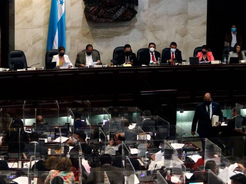 El Congreso Nacional aún no remite los antecedentes a la Sala Constitucional.