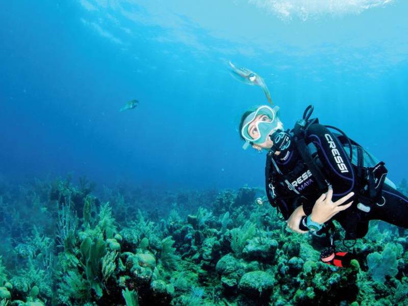 La isla es bendecida con 32 vertientes de agua pura de las que apenas se usan cuatro.