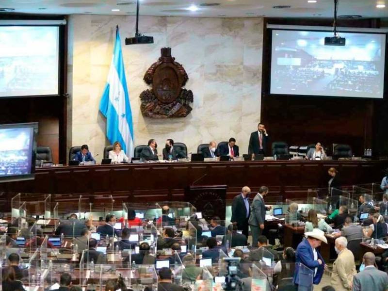 “Si se pueden utilizar con fines comerciales y se puede utilizar como un alivio a la falta y encarecimiento del petróleo”, dijo el congresista de Libre.