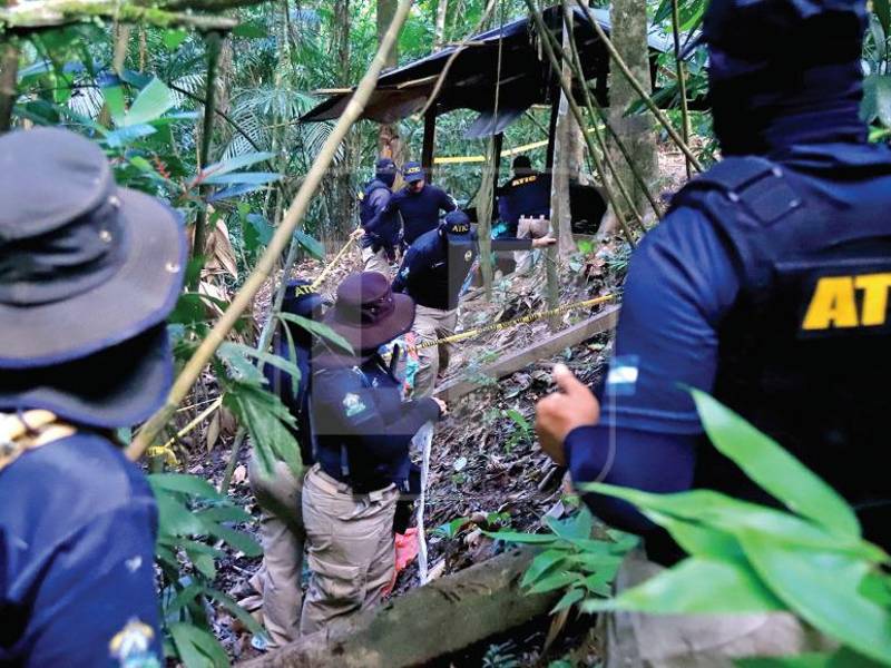 En 2018 las plantaciones en Colón eran de 3 manzanas y este año ya han destruidos hasta 30 manzanas con 6 narcolaboratorios y seis viveros.