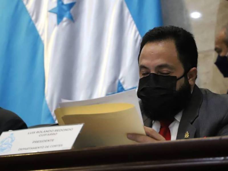 Luis Redondo, presidente del Congreso Nacional.