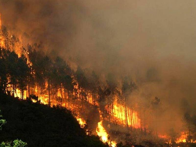 Este año, el mes que más incendios ha registrado es abril, con 437.