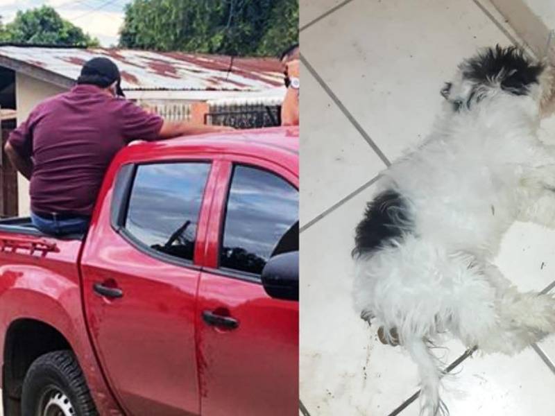 El hombre tendrá que responder a la acusación en tribunales sampedranos.