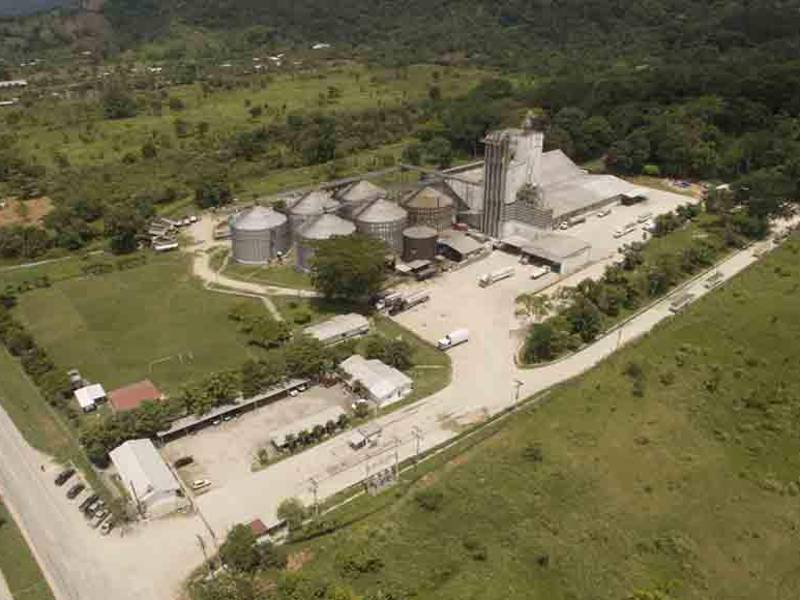 La planta de Aliansa ubicada en Honduras elabora los mejores alimentos para animales. Sus productos son comercializados en toda la región centroamericana.