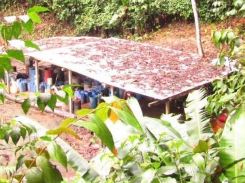 Tres estructuras de madera eran utilizadas para el procesamiento de pasta de cocaína.