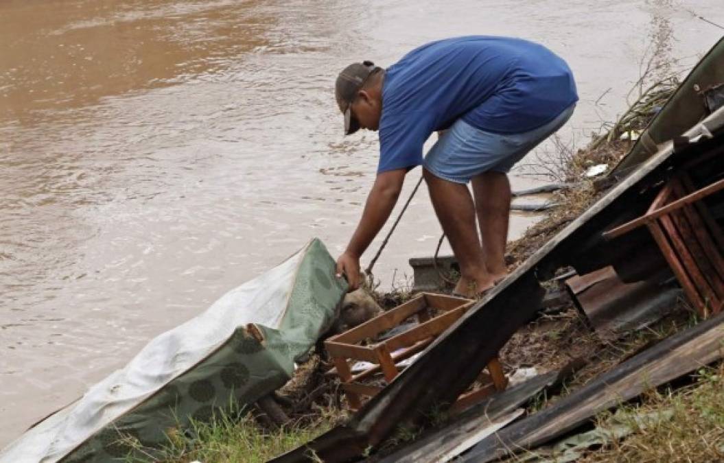 Iota en Honduras: Devastadoras imágenes tras nueva inundaciones en La Lima y El Progreso