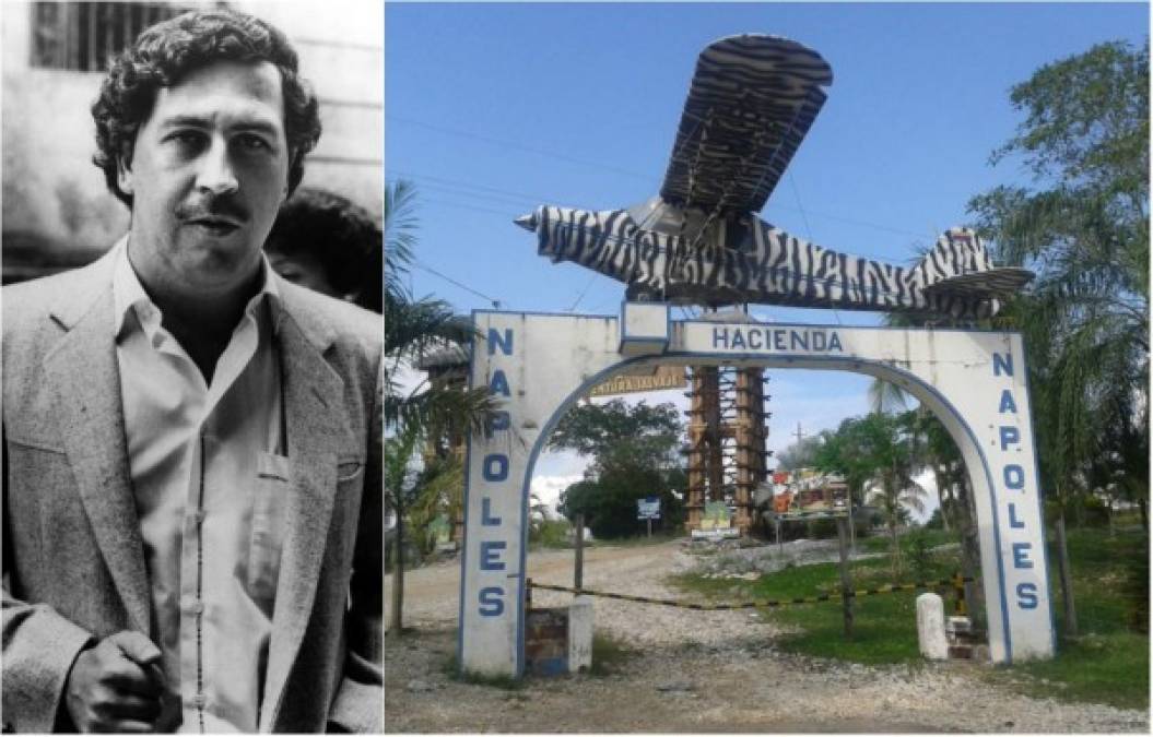 El mítico narcotraficante colombiano, Pablo Escobar, también dejó en evidencia su gusto por las excentricidades al montar un zoológico en su hacienda Nápoles.
